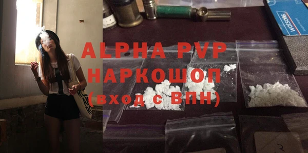 прущие грибы Абаза