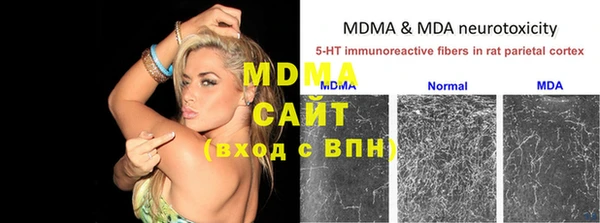 прущие грибы Абаза