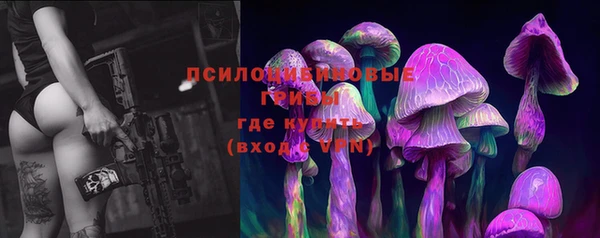 гашик Няндома