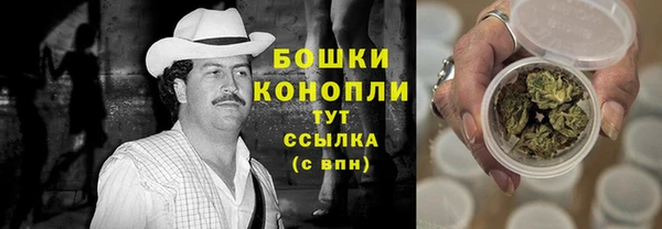 прущие грибы Абаза