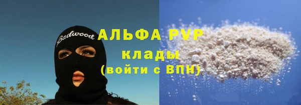 прущие грибы Абаза