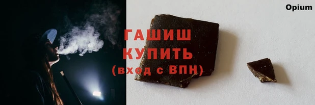 гашик Няндома