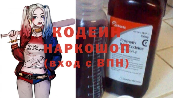 прущие грибы Абаза