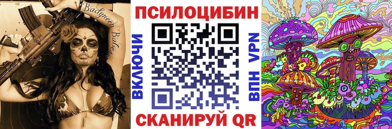 где продают наркотики Шебекино Псилоцибиновые грибы мицелий