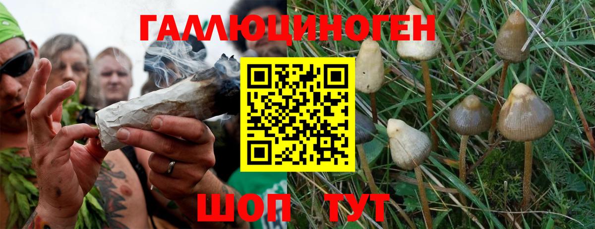 Псилоцибиновые грибы Magic Shrooms Шебекино