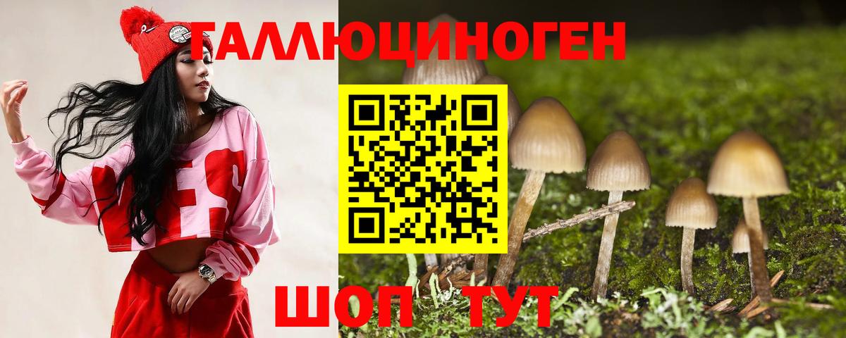 Псилоцибиновые грибы Magic Shrooms  Вход с VPN  Галлюциногенные грибы GOLDEN TEACHER  Шебекино 